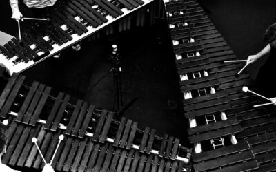 „monochromes“  29. April Orbital Garden Bern